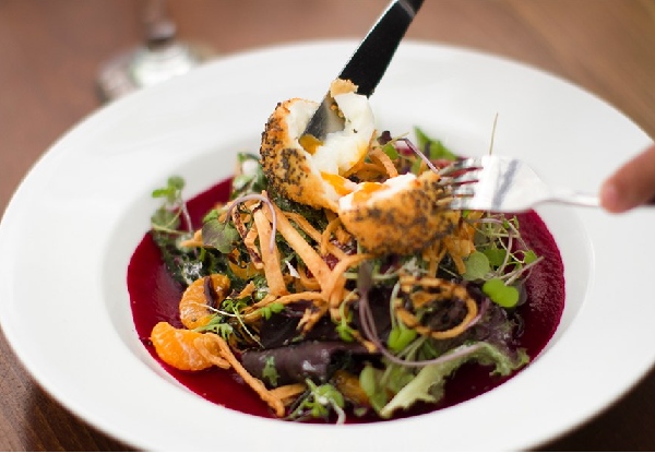 Café Botannix Petone