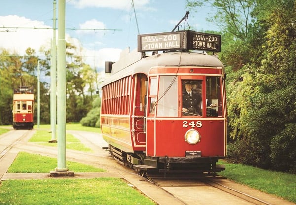 From $15 for a MOTAT Mates Annual Pass incl. Unlimited General Admission Entries, Tram Rides & More – Options for Student, Adult & Family Passes (value up to $85)