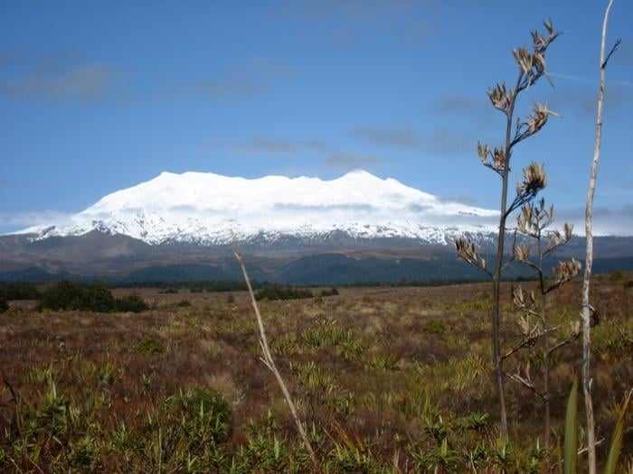The Cottage Hilltop Ruapehu
