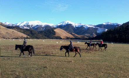 Two-Hour Horse Trek
