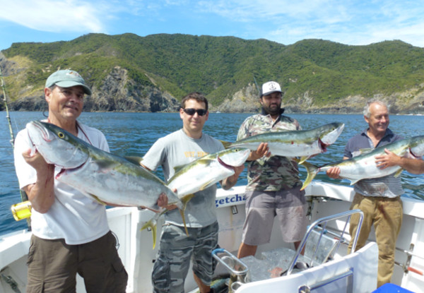 Six-Hour Bay of Islands Kingfish Fishing Charter incl. Bait, Rods & Tackle - Options for One, Two or Group of Four People