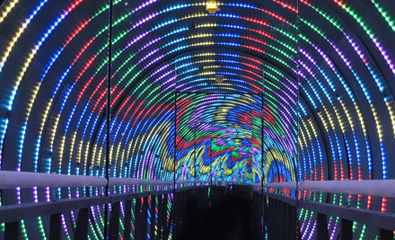 Odyssey Sensory Maze
