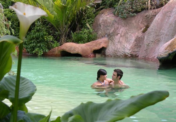 $795 for a Luxury Couples Package incl. Private Plane – Options for Hot Springs & Lunch, Cathedral Cove Cruise, or Mercury Islands Sailing Trip Available