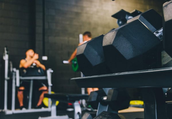 $20 for Four Weeks of Unlimited Boot Camp Sessions, or $59 for Three Personal Training Sessions (value up to $177)