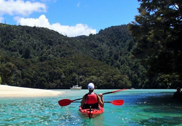 Full Day Kayak Hire  - Options for Half Day Split Apple Rock Guided Tour