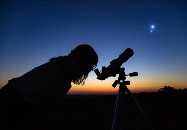 Night-time Wonders Kiwi Spotting and Stargazing Tour at Tawharanui - Option for up to Four People