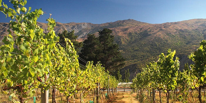 $350 for a Two-Night Wine Lovers' Retreat in a Studio Cottage incl. Private Wine Tasting & Private Vineyard Tour – Options for Family Cottage For Two Adults & Two Children