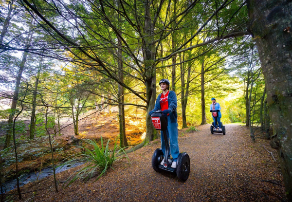 1-Hour Queenstown Bay Ride with Segway on Q from $93.64 for a Child & $104.17 for an Adult