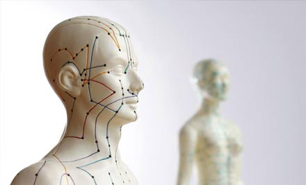 Gareth Powdrell Traditional Acupuncture and Massage