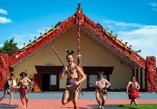 Maori Cultural Experience Tour incl. Refreshments for One Adult - Options for Child or Family Pass & to incl. Show & Hangi Buffet