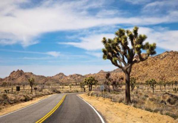 Per-Person Twin-Share Five-Day LA to Las Vegas Adventure incl. Flights, Accommodation & More - Solo Traveller & Deposit Options Available
