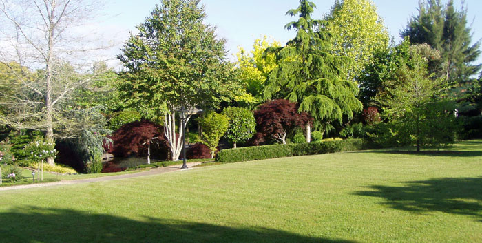 Fantail Events