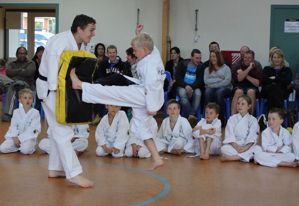 Taekidokai Martial Arts Senior Classes For One Month - Option for Junior Classes
