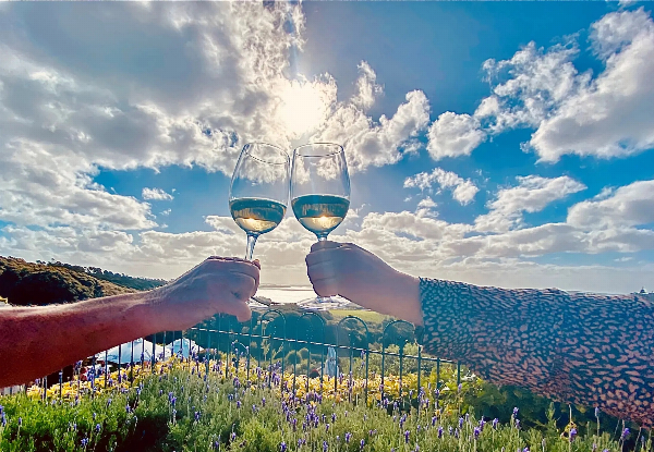 Half-Day Scenic Wine & Vineyard Lunch on Waiheke - $268.30 per Adult
