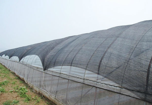 $80 for a 50m Agricultural Shade Cloth