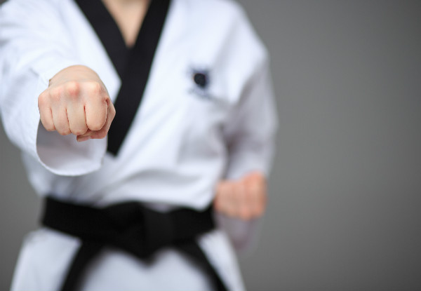 Three-Week Kickboxing, Karate or Mixed Martial Arts Course