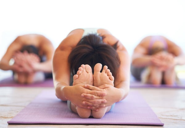 Iyengar Yoga Dunedin