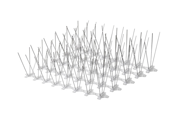Bird Spikes