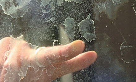 Clearshield Glass Wellington Ltd