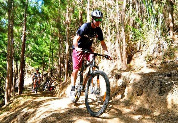 From $15 for Mountain Bike Hire for a Haruru Falls Three-Hour Bike Ride incl. Pick-up/ Drop off – Options for Half-Day & Full-Day Hire
