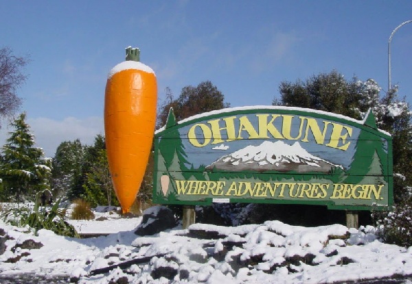 Rimu Park Lodge - Ohakune