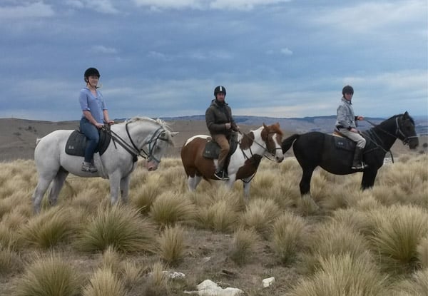 Weka Pass Horse Treks