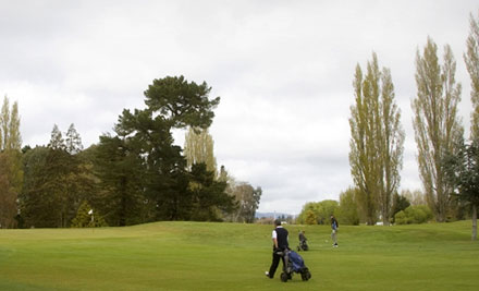 Waitikiri Golf Pro Ltd