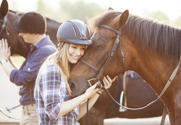 Waipu Horse Adventures