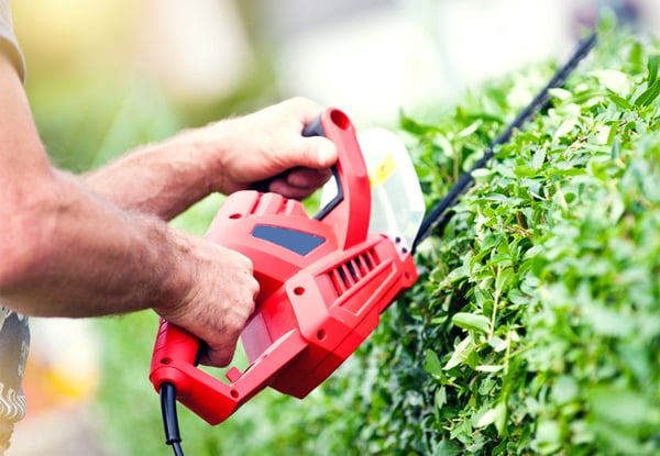 Westy's Garden Maintenance