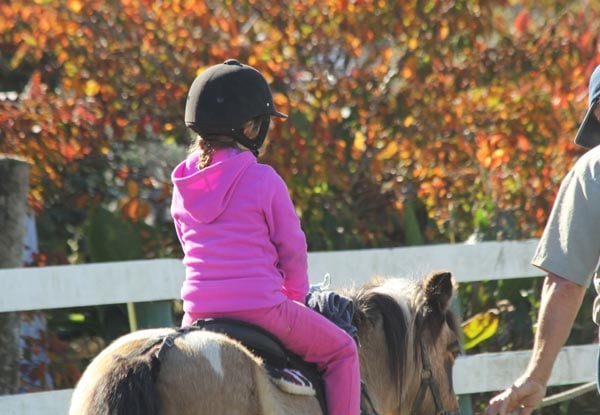 Matakana Pony Parties