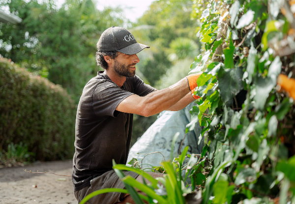 Two-Man-Hour Premium Garden Maintenance Package with Garden Waste Removal - Options for 4, 6, 8 or 10 Man Hours