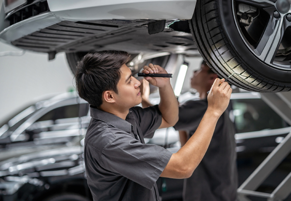 Warrant of Fitness for Petrol or Diesel Vehicles - Option to Add Quick Oil & Filter Change