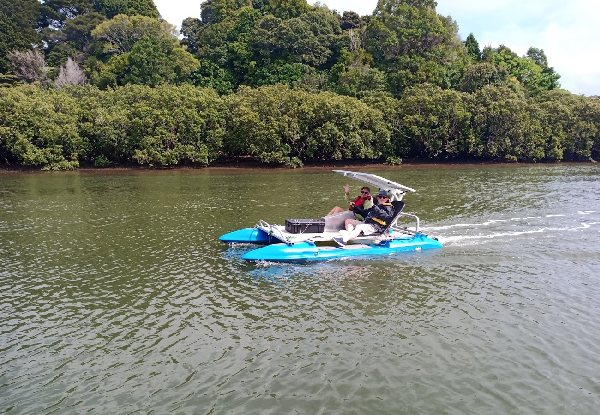 Electric Boat Hire for up to 13 People - Six Options Available