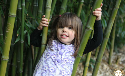 Precious Moments Photography