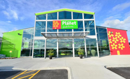 Palmers Planet**