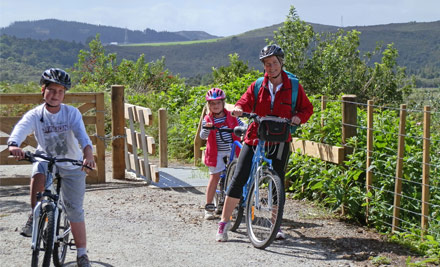 Twin Coast Cycle Trail ex Kaikohe