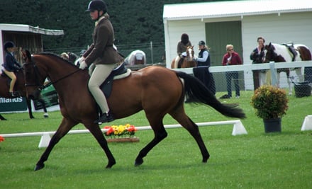 RH Equestrian