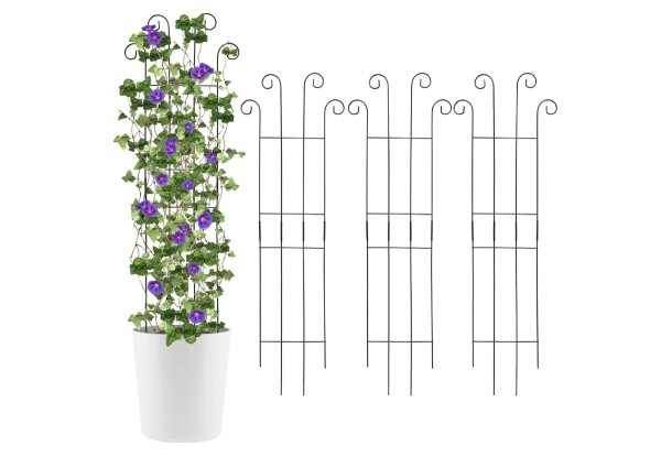 Four-Piece Metal Garden Trellis for Climbing Plants