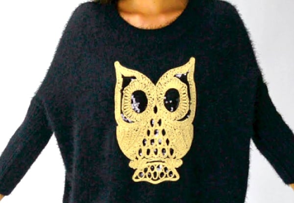 $33 for Two Fluffy Jumpers with Sequin Owl incl. Free Shipping
