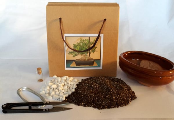 From $30 for a Bonsai Starter Kit