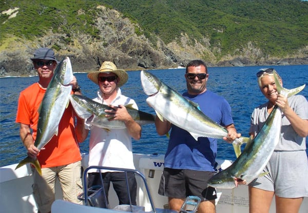 From $140 for a Six-Hour Bay of Islands Kingfish Fishing Charter, incl. Bait, Rods & Tackle - Options Available for One, Two & Four People