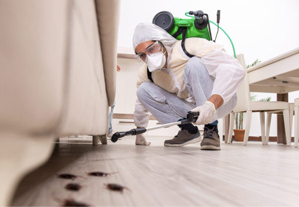 Inside or Outside Pest Control Service - Options for Three to Five Bedroom Homes