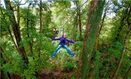 Rotorua Canopy Tours