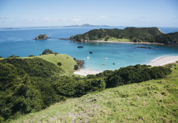 Flying Kiwi Adventure Tours