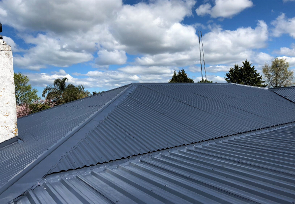 Roof Wash & Roof Paint - Options for up to 200m² Roof