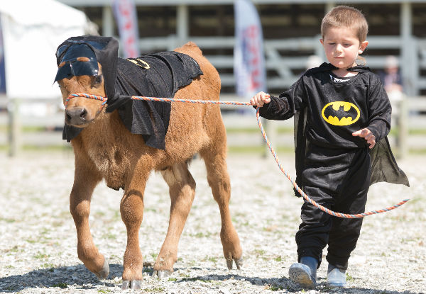 Family Entry Pass to the Hawkes Bay New Zealand Royal A&P Show 2017