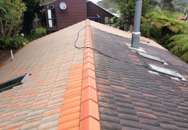 Moss, Mould & Lichen Roof Treatment Package - Options for Four Roof Sizes