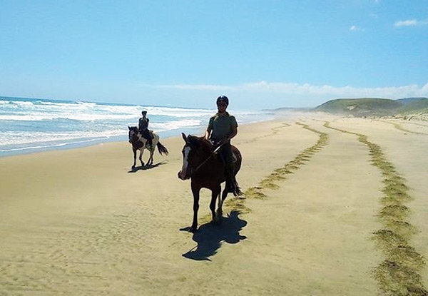 $49 for a One-Hour Beach Horse Ride for One Person or $95 for Two People - Options for 1.5-Hour Trek