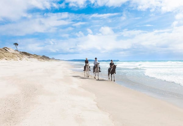 One-Hour Beach Horse Ride - Option for Two Hours