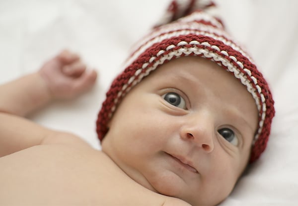 $649 for a Three-Hour Newborn Photography Session Package incl. a Complimentary 30-Minute Maternity Shoot (value up to $900)